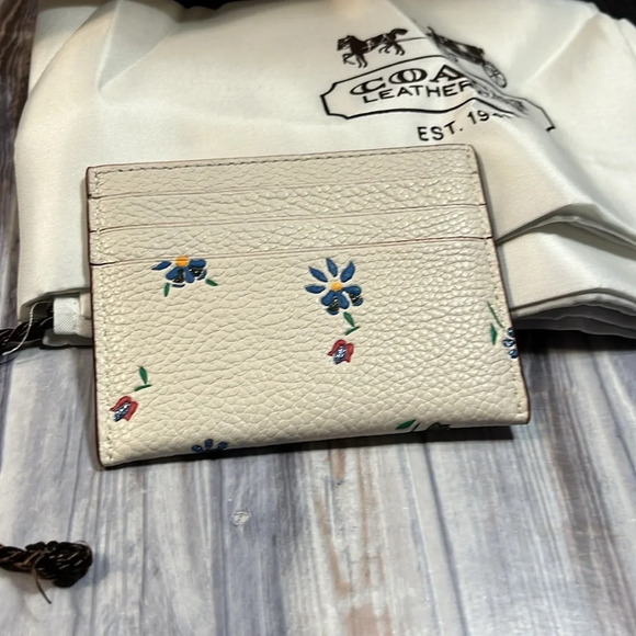 RARE: Coach-Pierre Le Tan Collab Beach Umbrella Canvas Tote with card holder. - Picture 13 of 16